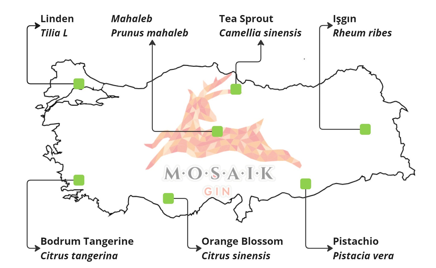 Mosaik Gin